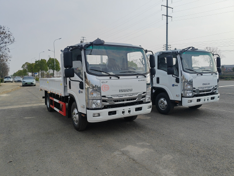 isuzu 4x2 dump truck.jpg
