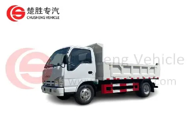 Evaluating HOWO Dump Truck Models: 6x4 Vs 4x2 Configurations