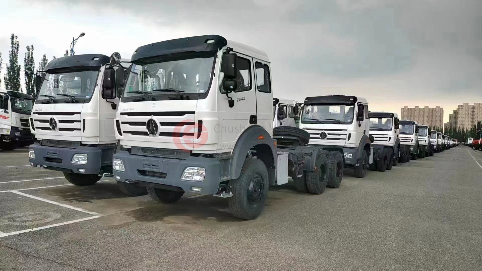 ​Chusheng Vehicle Business Manager Tina Received A New Order From Algeria - BEIBEN 6x4 Tractor Truck